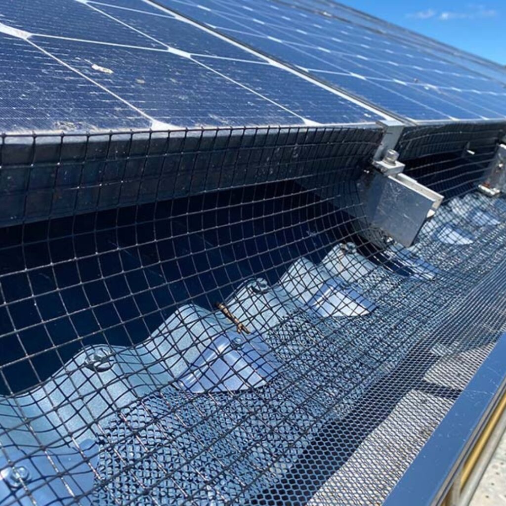 solar services in sydney